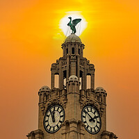 Buy canvas prints of Liverbird by Roger Green