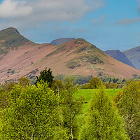 Buy canvas prints of Catbells by Roger Green