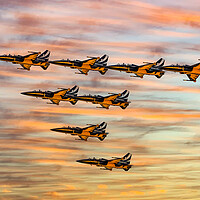Buy canvas prints of The Black Eagles by Roger Green