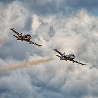 Buy canvas prints of Pair of Strikemasters by Roger Green