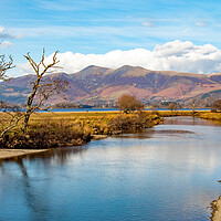 Buy canvas prints of Derwentwater  by Roger Green