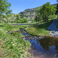 Buy canvas prints of Pathway to Blea Tarn by Roger Green