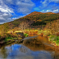 Buy canvas prints of Dodd Woods in Cumbria by Roger Green