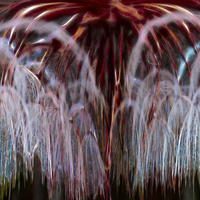 Buy canvas prints of Dandelion Fireworks by Roger Green