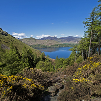Buy canvas prints of Derwentwater by Roger Green