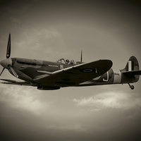 Buy canvas prints of Mark 5b Spitfire by Roger Green