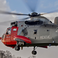 Buy canvas prints of Sea King Helicopter by Roger Green