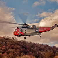Buy canvas prints of Sea King Helicopter by Roger Green