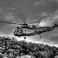 Buy canvas prints of Sea King Helicopter by Roger Green