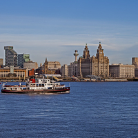 Buy canvas prints of Royal Iris on the Mersey by Roger Green
