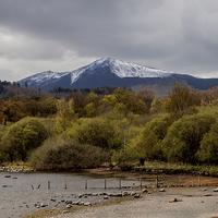 Buy canvas prints of Derwentwater with Grisedale Pike by Roger Green