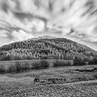 Buy canvas prints of Latrigg by Roger Green