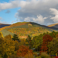 Buy canvas prints of Latrigg's Autumn Colours by Roger Green