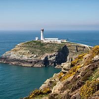 Buy canvas prints of South Stack by Roger Green