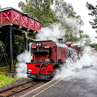 Buy canvas prints of Welsh Highland Railway by Roger Green