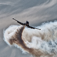 Buy canvas prints of Strikemaster by Roger Green