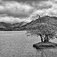 Buy canvas prints of Lone Tree at Ullswater by Roger Green