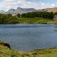 Buy canvas prints of Loughrigg Tarn by Roger Green