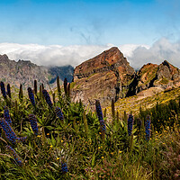 Buy canvas prints of Mountains of Madeira by Roger Green