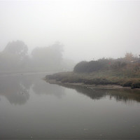 Buy canvas prints of Foggy Morning in Maldon by Robin Lodge
