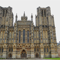 Buy canvas prints of Wells cathedral by terrylee davis