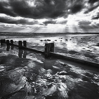 Buy canvas prints of Alnmouth Groynes by Richard Peck
