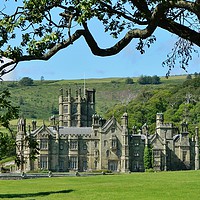 Buy canvas prints of Margam Castle. by Becky Dix
