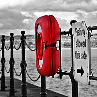 Buy canvas prints of Oh Bouy!! by Becky Dix