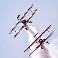 Buy canvas prints of The Breitling Wingwalkers. by Becky Dix