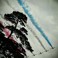 Buy canvas prints of RAF Red Arrows Aerobic Team. by Becky Dix