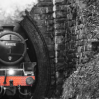 Buy canvas prints of Steam Engines Day Out. by Becky Dix