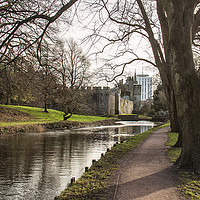 Buy canvas prints of  Along the Taff. by Becky Dix