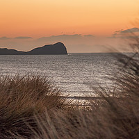Buy canvas prints of Worms Head at Dusk. by Becky Dix