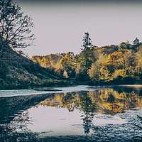 Buy canvas prints of Penllergare Woods Reflections. by Becky Dix