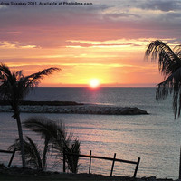 Buy canvas prints of jamaican sunset by Andrew Sheekey