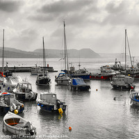 Buy canvas prints of Lyme Regis by Elaine Whitby
