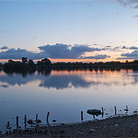 Buy canvas prints of Attenborough Nature Reserve by Elaine Whitby