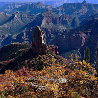 Buy canvas prints of Point Imperial Grand Canyon North Rim Autumn  by Tammy Winand