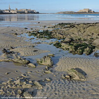 Buy canvas prints of Low Tide on the Coast of St Malo France by Tammy Winand