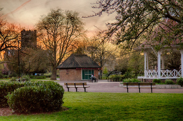 Springtime Sunset in Chapelfield Gardens Picture Board by Rus Ki