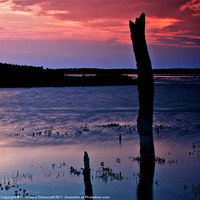 Buy canvas prints of Sunset at Thornham by Francesca Shearcroft