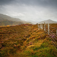 Buy canvas prints of In the Scottish Highlands by Dorit Fuhg