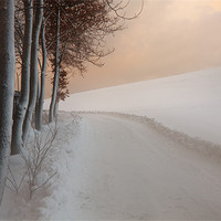 Buy canvas prints of Dusk at the Edge of the Winter Forest by Dorit Fuhg