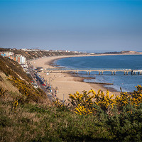 Buy canvas prints of Boscombe Pier and Beach by Richard Thomas