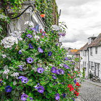 Buy canvas prints of Colourful Rye by Richard Thomas