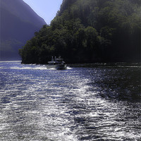 Buy canvas prints of Boat on Milford Sound by Richard Thomas
