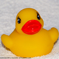 Buy canvas prints of rubber duck by Elouera Photography