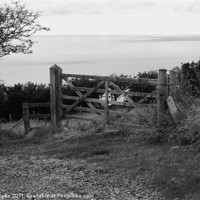 Buy canvas prints of Gate, Gobbins Path, Islandmagee, Northern Ireland by Claire Clarke