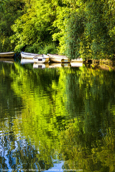 Rowing Boats On A Lake Picture Board by Martyn Williams