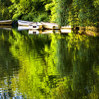 Buy canvas prints of Rowing Boats On A Lake by Martyn Williams